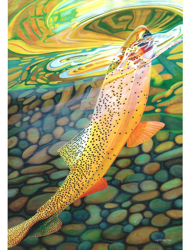 Anglers Journal, Fly Fishing Art, Prints, AD Maddox