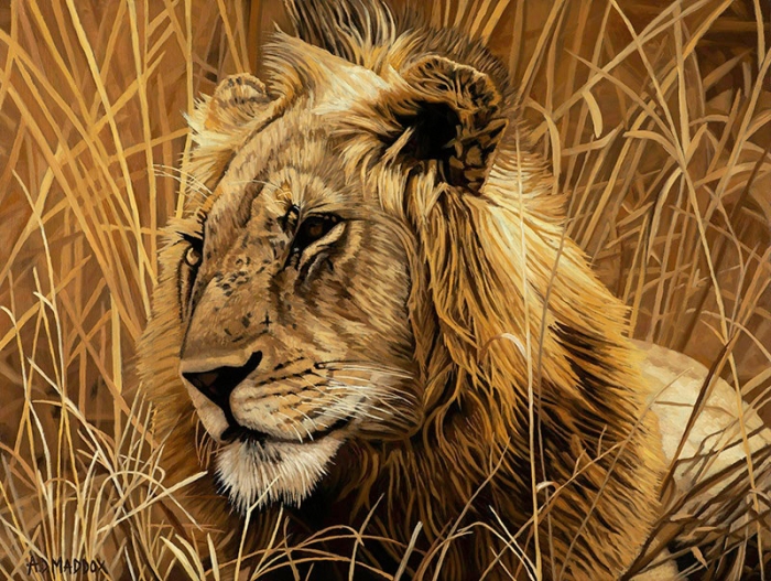 Lion Series 1 30x40