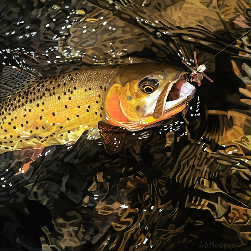 Mill Creek Cutty AP, Fly Fishing Art, Prints, AD Maddox