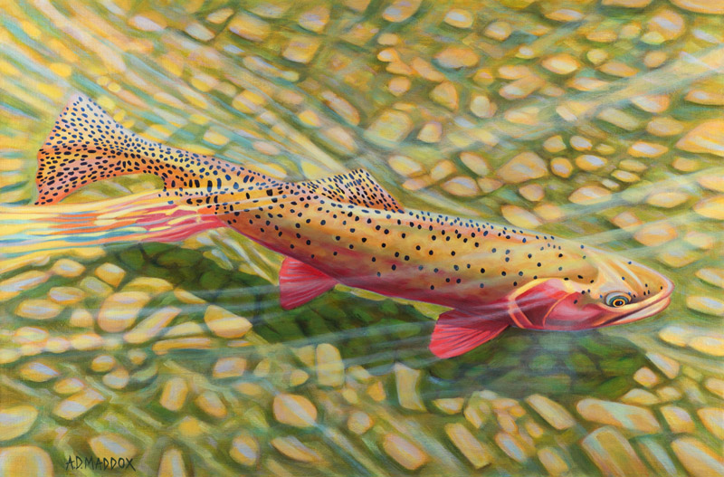 Strawberry Cutty IV | Fly Fishing Art | Prints | AD Maddox | Artist